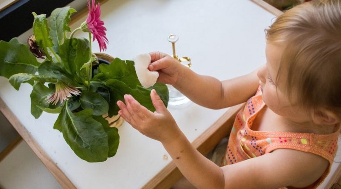 Montessori acasă: Activități practice pe care copilul le va îndrăgi