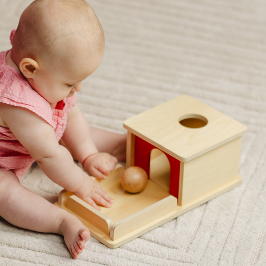 Nivelul 3 - Set jucării Montessori 7-10 luni