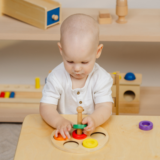 Nivelul 4 - Set jucării Montessori 11-14 luni