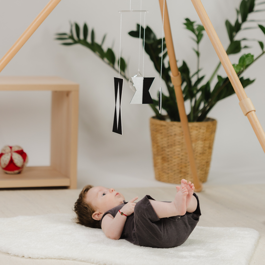 Nivelul 1 - Set jucării Montessori 0-3 luni