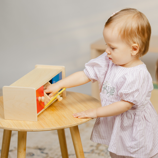 Nivelul 5 - Set jucării Montessori 15-18 luni
