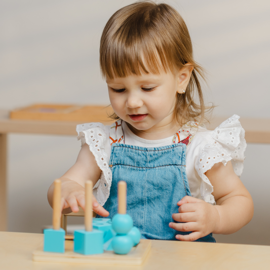 Nivelul 6 - Set jucării Montessori 19-22 luni