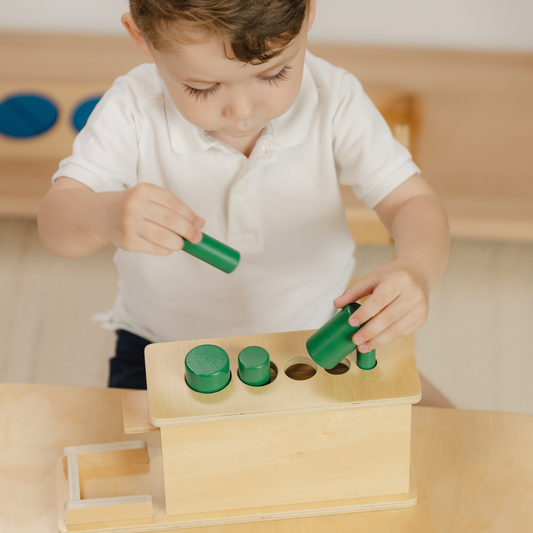 Nivelul 7 - Set jucării Montessori 23-29 luni