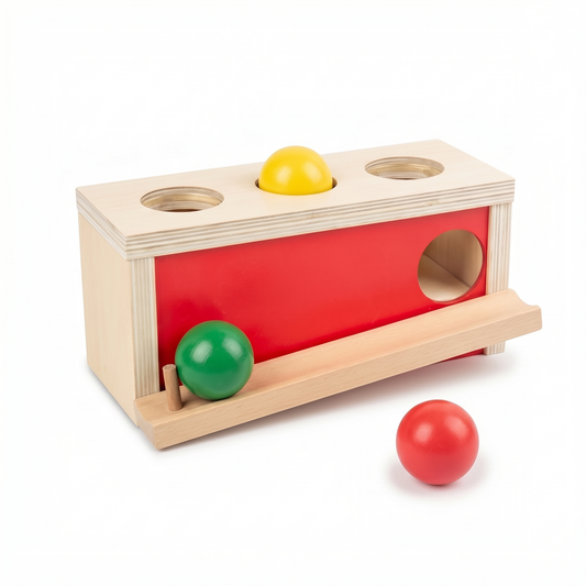 Cutie Montessori cu mingi de impins