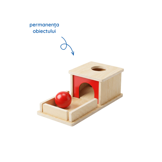 Kit jucarii Montessori 7 luni+