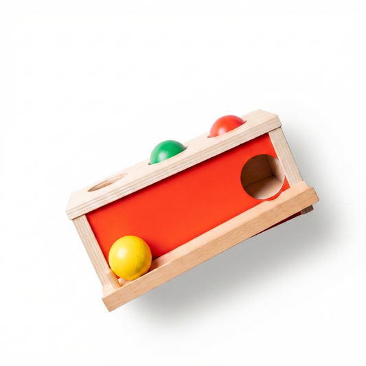 Cutie Montessori cu mingi de impins