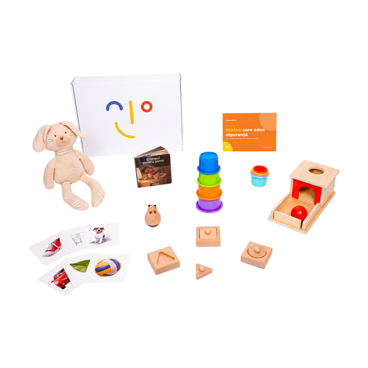 Kit jucarii Montessori 7 luni+